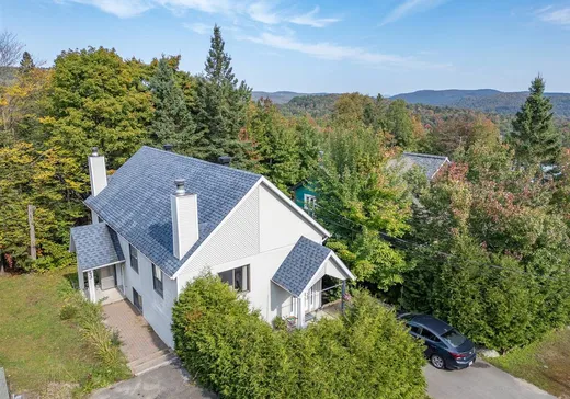Maison à étages à vendre - 3 Rue des Pruches, Val David, J0T2N0