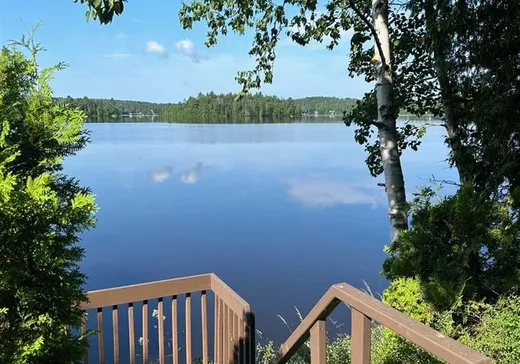 Maison à vendre - 248 Rue des Tulipes, Thetford Mines, G0N 1S0