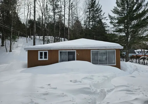 Maison à étages à vendre - 75 Rue de l'Arc-en-Ciel, Wentworth, J0T1Y0