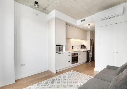 Condo à vendre - 1150 Boul. René-Lévesque E., Montréal (Centreville), H2L 0J6