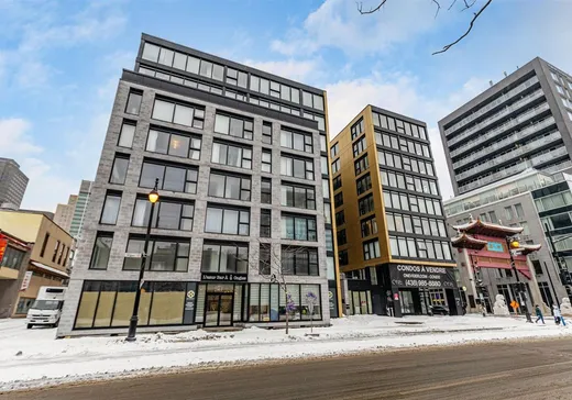 Condo à vendre - 1 Av. Viger O., Ville-Marie, H2Z1E6