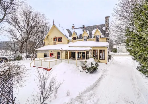 Maison à vendre - 1196 Rue de la Pisciculture, Mont-Blanc, J0T 2G0