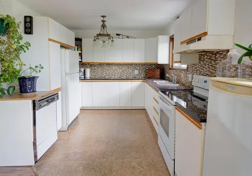 Maison à vendre - 1051 Ch. de Ste-Lucie, Ste-Lucie, J0T 2J0
