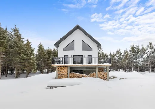 Maison à vendre - 979 Rg St-Arthur, St-Philemon, G0R 4A0