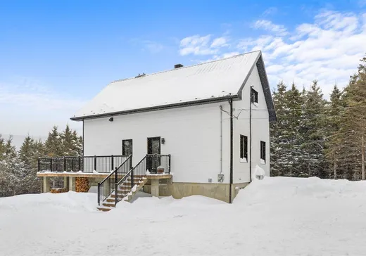 Maison à vendre - 979 Rg St-Arthur, St-Philemon, G0R 4A0