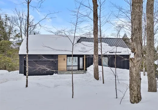 Maison à vendre - 31 Ch. de la Montagne-Cachée, Eastman, J0E 1P0