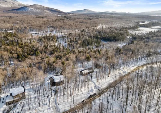 Maison à vendre - 31 Ch. de la Montagne-Cachée, Eastman, J0E 1P0