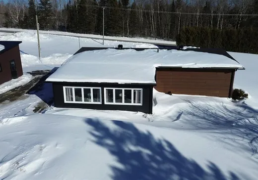 Chalet à vendre - 236 Route 263 S., Lac-Mégantic, G0Y 1G0