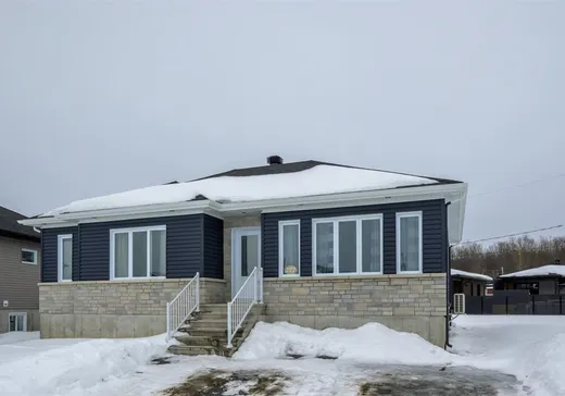 Maison à vendre - 25 Rue Doucet, St-Leonard-D'Aston, J0C 1M0