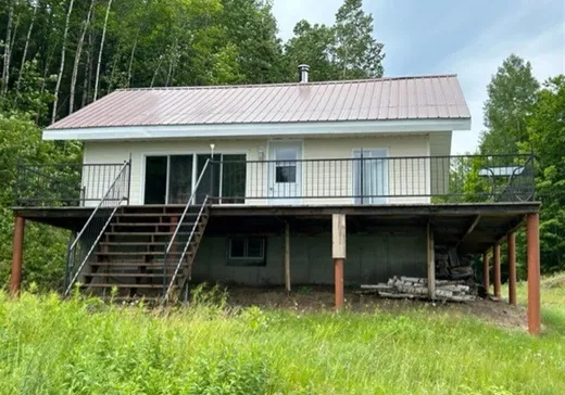 Maison à vendre - 1 Ch. du Petit-Lac-Long, Mandeville, J0K 1L0