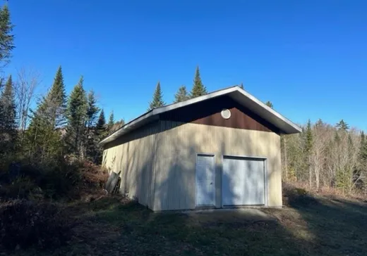Maison à vendre - 1 Ch. du Petit-Lac-Long, Mandeville, J0K 1L0