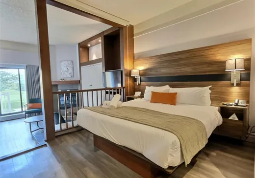 Condo à vendre - 44 Av. de l'Auberge, Orford, J1X 6J3