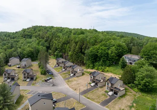 House for sale - 307 Allée de la Sérénité, Mont-Tremblant, J8E 0G1