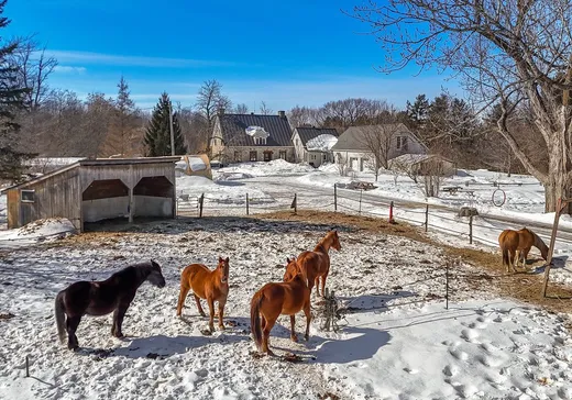 Fermette à vendre - 422 Ch. du Grand-Pré, Saint-Jean-sur-Richelieu, J2Y 1C9