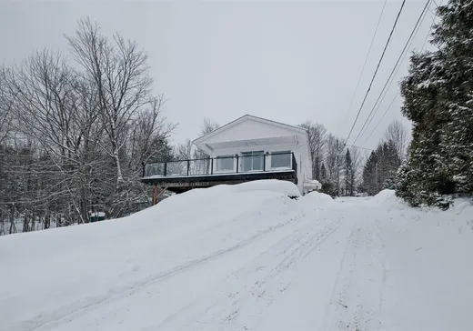 Maison à vendre - 11 Ch. de la Pente, Eastman, J0E 1P0