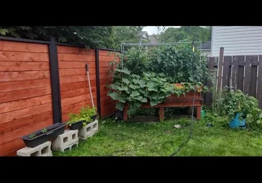 Maison à vendre - 11 Rue Bouffard, Victoriaville, G6P 1V2