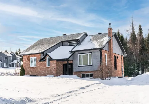 Bungalow à vendre - 49 Rue Principale E., Notre-Dame-Des-Boies, J0B2E0