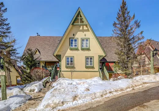 Condo à vendre - 222 Ch. de la Forêt, Mont-Tremblant, J8E 3K8