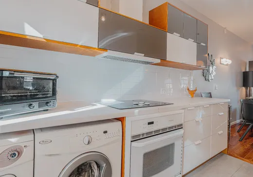 Condo à vendre - 5288 Rue Ste-Marie, St-Henri (Île de Montréal), H4C 1X9