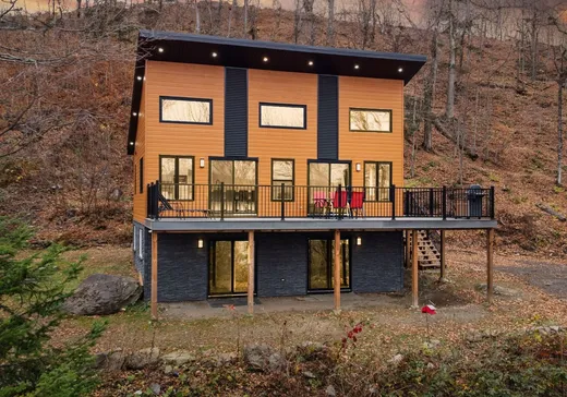 Maison à étages à vendre - 65 Ch. Carlton-Oliver, Mansonville, J0E1X0