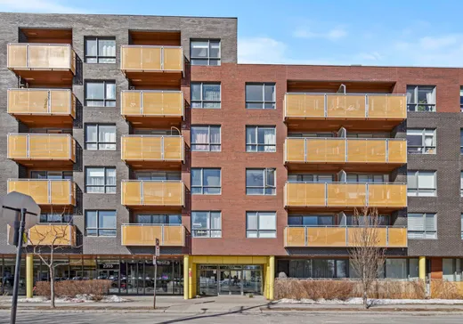 Condo à vendre - 2365 Rue des Carrières, Montréal (Rosemont–La Petite-Patrie), H2G1X6