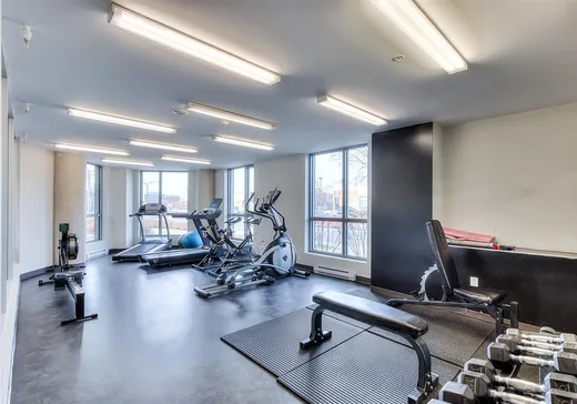 Condo à vendre - 6900 Boul. Newman, Montréal (LaSalle), H8N 0C8