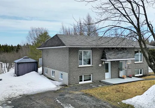 Paliers multiples à vendre - 332B Rue Bouchard, Lac-Etchemin, G0R1S0