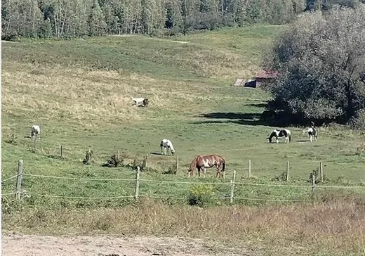 Hobby Farm for sale - 326Z-328Z Ch. Goshen, Windsor, J1S0C4