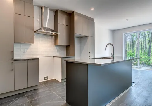 Maison à vendre - 8749 Rue de Touraine, Massueville, J3R 0N6