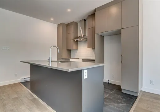 Maison à vendre - 8749 Rue de Touraine, Massueville, J3R 0N6