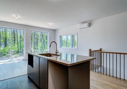 Maison à vendre - 8749 Rue de Touraine, Massueville, J3R 0N6