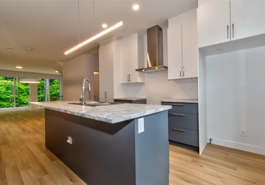 Maison à vendre - 8730 Rue de Touraine, Massueville, J3R 0N7