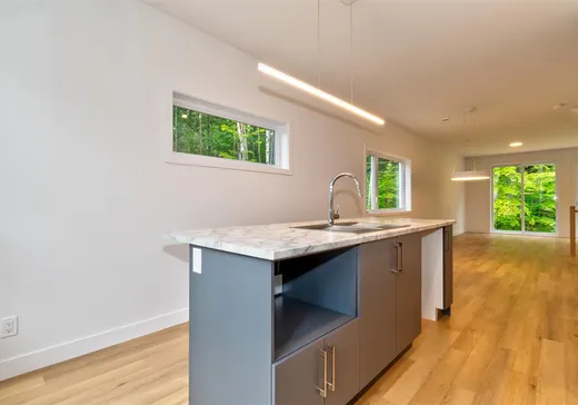 Maison à vendre - 8730 Rue de Touraine, Massueville, J3R 0N7