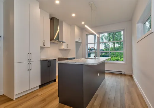 Maison à vendre - 8730 Rue de Touraine, Massueville, J3R 0N7