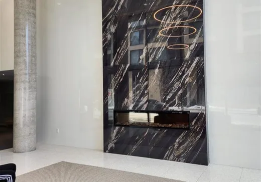 Condo à vendre - 1485 Rue des Bassins, Montréal (Centreville), H3C 1B7