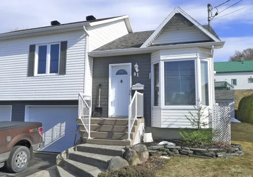 Two or more stories for sale - 81 Rue Buisson, Victoriaville, G6S1K3