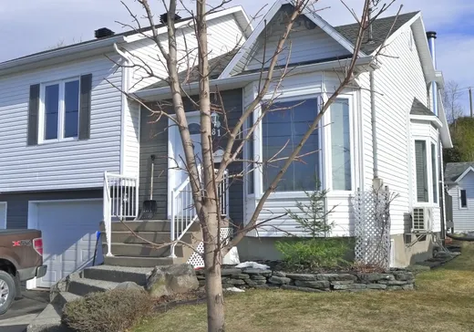 House for sale - 81 Rue Buisson, Victoriaville, G6S 1K3