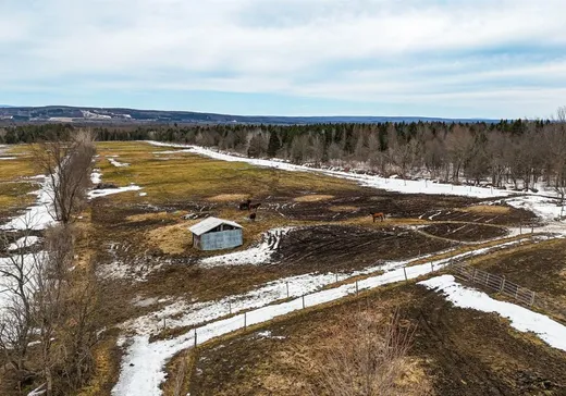 Hobby Farm for sale - 1580 Route 112 O., Weedon, J0B 3J0