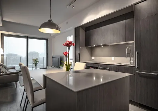 Condo à vendre - 1288 Av. des Canadiens-de-Montréal, Montréal (Centreville), H3B3B3