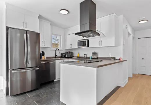 Maison à vendre - 800 Ch. de la Vallée-des-Pins, Notre-Dame-des-Lourdes, J0K 1K0