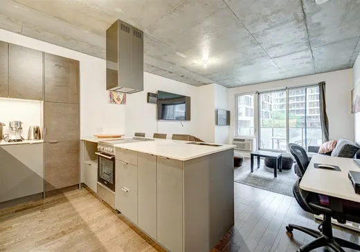 Condo for sale - 1375 Rue des Bassins, Montreal (Downtown), H3C 1W3