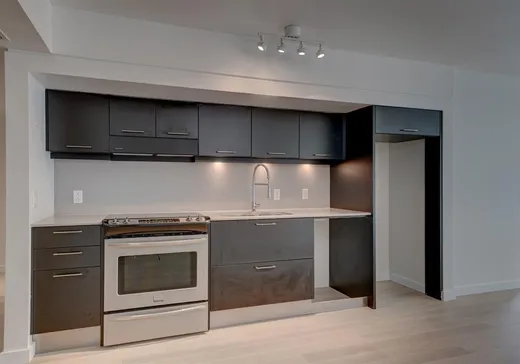 Condo à vendre - 350 Boul. De Maisonneuve O., Montréal (Centreville), H3A 0B4