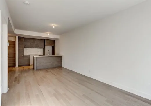 Condo à vendre - 1400 Rue Ottawa, Montréal (Centreville), H3C 0Y9
