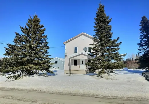 Maison à vendre - 546 4e Rang, Témiscouata-sur-le-Lac, G0L 1X0
