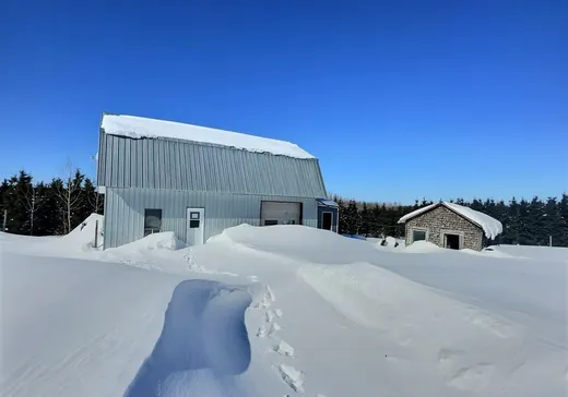 Maison à vendre - 546 4e Rang, Témiscouata-sur-le-Lac, G0L 1X0