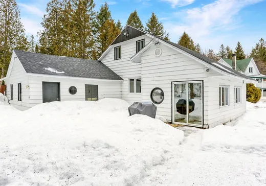 Maison à étages à vendre - 171 Ch. du Lac-des-Amoureux, St-Mathieu-Du-Parc, G0X1N0
