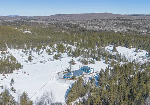 Maison à vendre - 439 Ch. Plaisance, Chute-St-Philippe, J0W 1A0