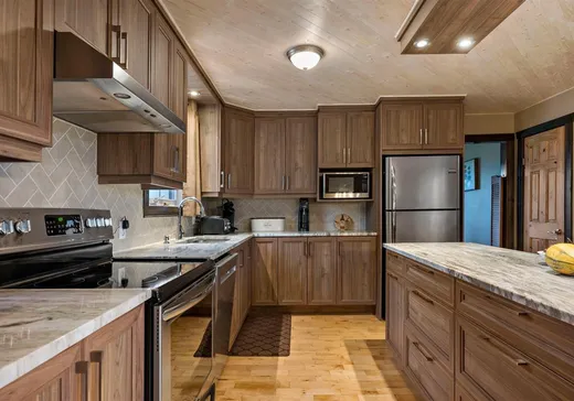 Fermette à vendre - 139-143 Route 309, Mont-Laurier, J0W 1J0