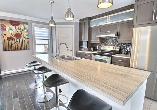 Maison à vendre - 36 Rue Métivier, Victoriaville, G6T 2R2