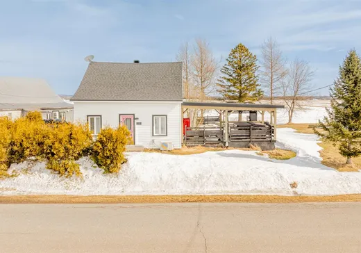 Maison à vendre - 120 Rg de la Rivière-Blanche E., Saint-Casimir, G0A 3L0